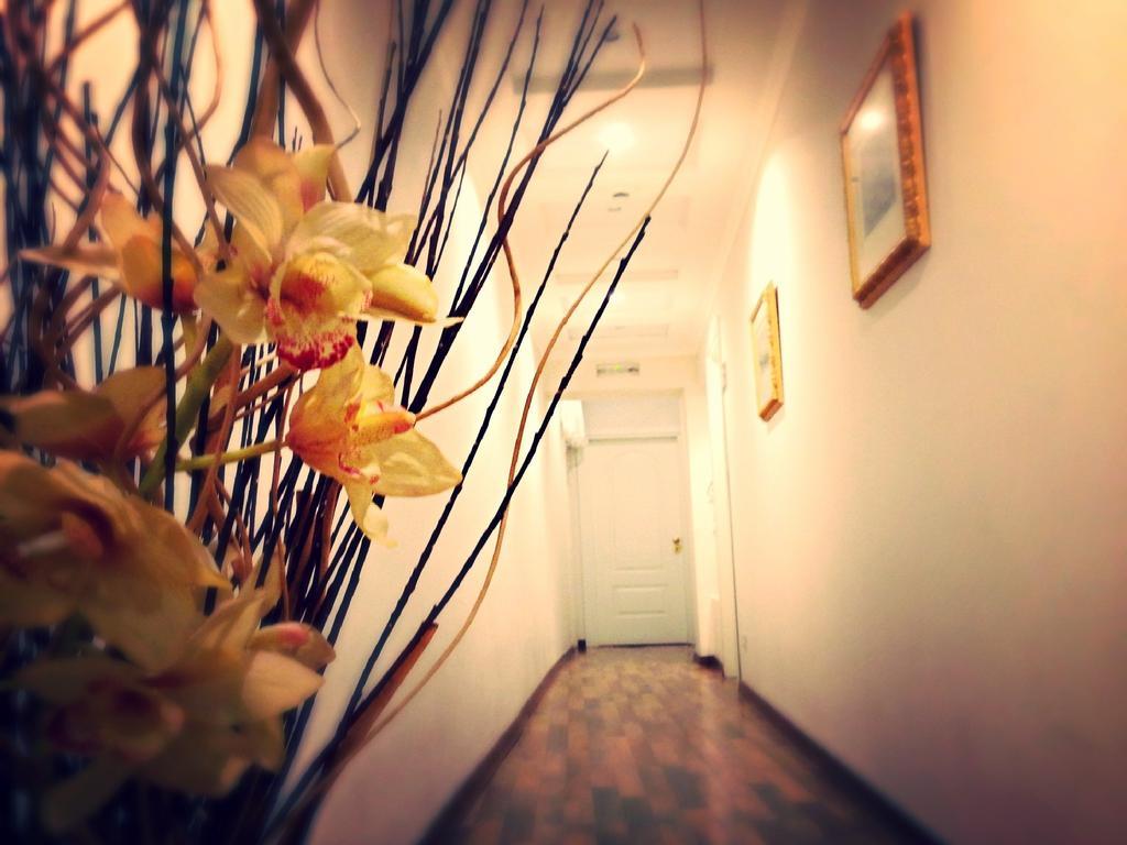 Bed and breakfast Residenza Domiziano Roma